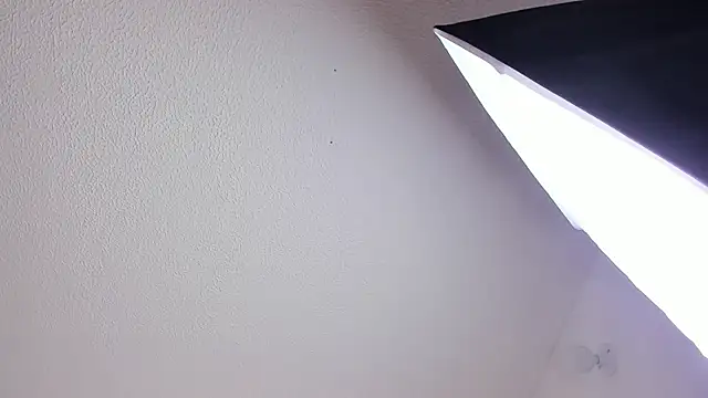 Kenji_n_Rousse webcam