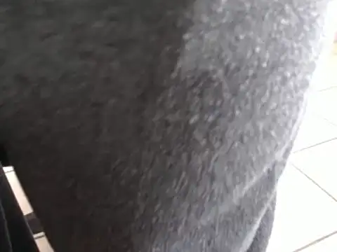 steelwings1976 webcam