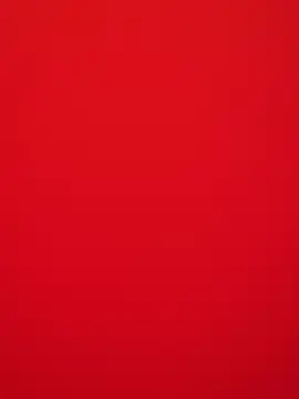 美女ZHJKS9988在线直播