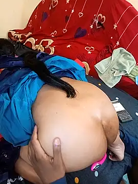 INDIANDESIMATURE webcam