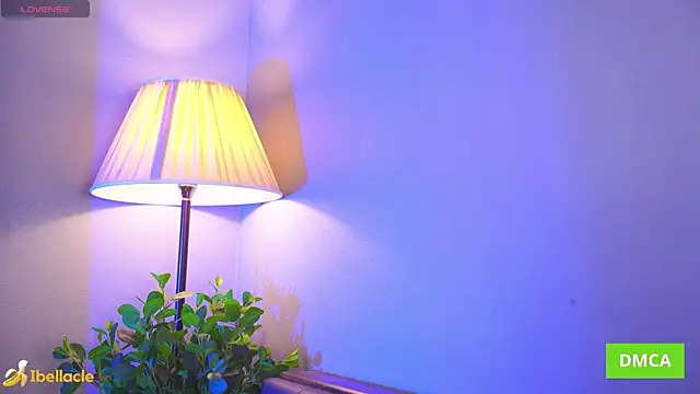 Bellacle Live Webcam on Stripchat