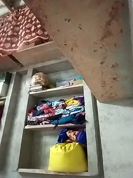 Shreya_pandit webcam