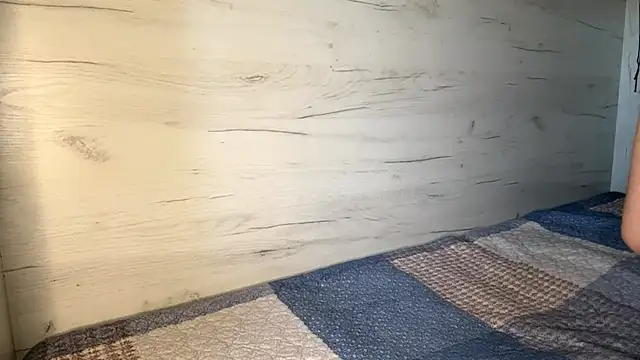 BlinkingDross webcam