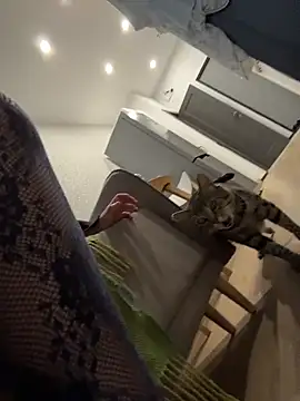 RinaCat live sex cam