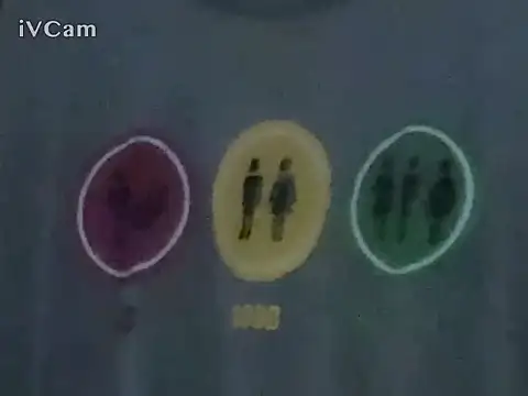 Preview of pierriminix