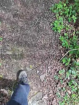 FreezingTie850 webcam