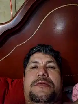 TattyFoxglove webcam