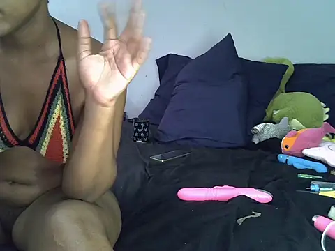 CurvySnowflakes webcam