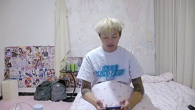 Chocolates-001 webcam