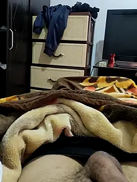 JoyousArray85 webcam