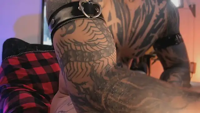 TigerStripes1_ webcam