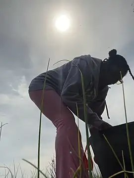 Preview of mochakaia