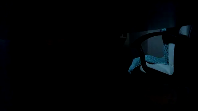 leccaleccafiga webcam