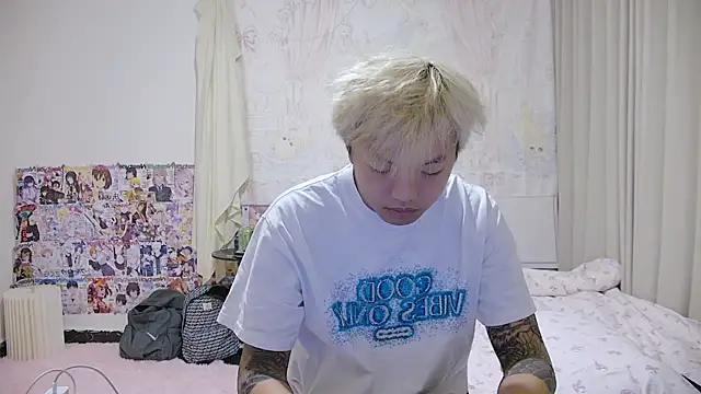 Chocolates-001 webcam