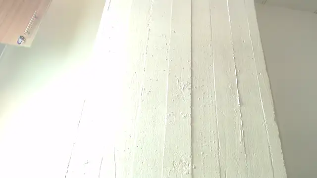 Venusandrea29 webcam