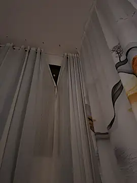 liqinqin-5201 webcam