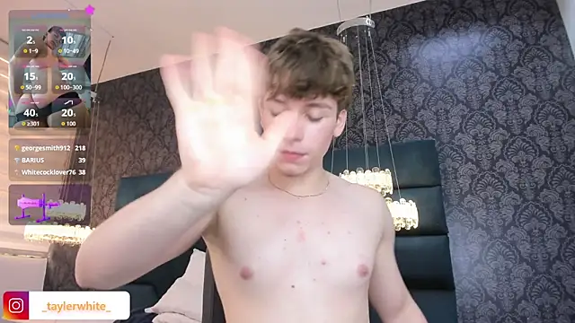 TaylerWhite webcam