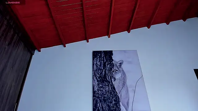 Santos_ramirez1 webcam