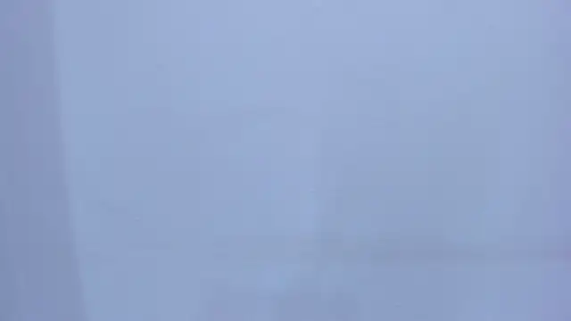 RoxanneMorguet_ webcam