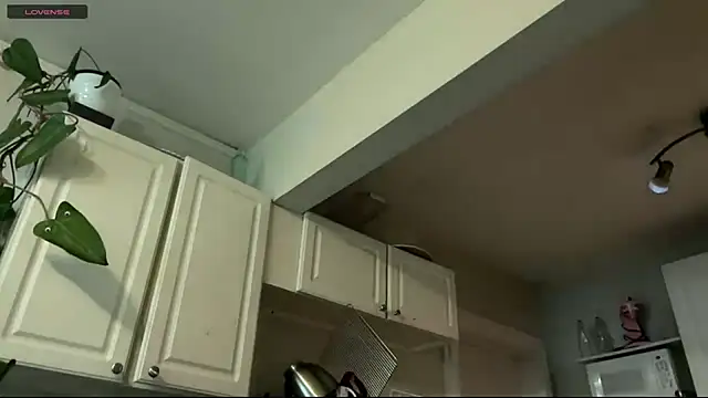 aria_fields - Aria_Fields's free webcam - UK Sex Cams