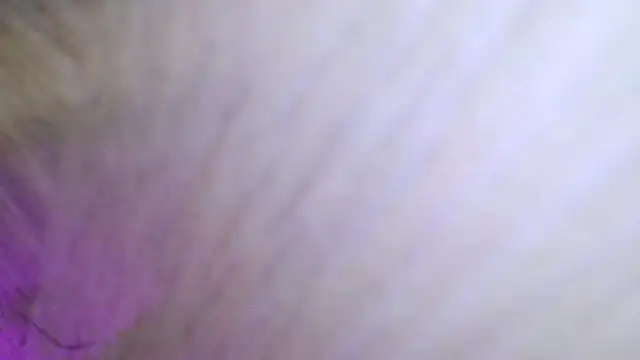 karol_kane - Karol_kane's free webcam - UK Sex Cams