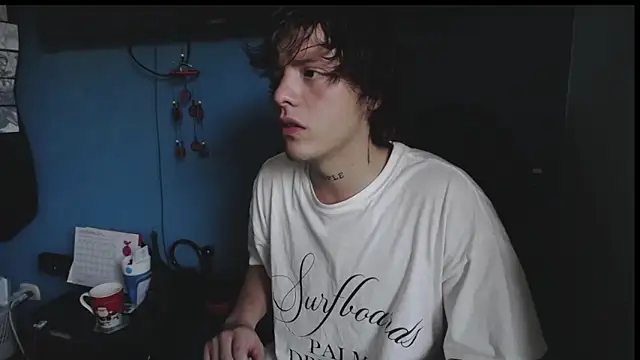 Santiago_kiler webcam