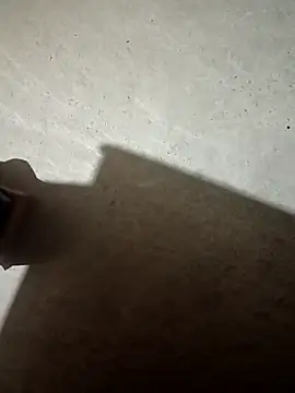 Bengali_BULL1 webcam