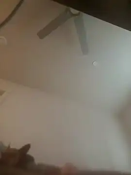 yourMasterisBored webcam