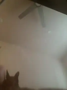 yourMasterisBored webcam