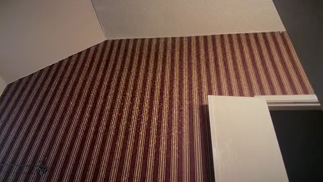 KungFuPanda001 webcam