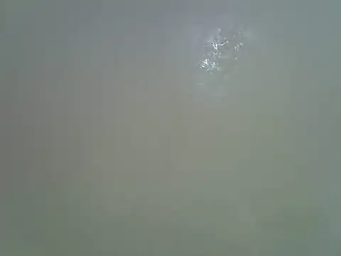 Rasta_tattooed webcam