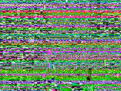 transSTARprincess webcam