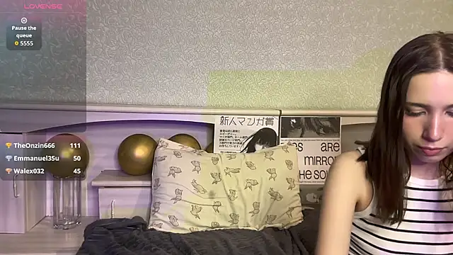 UpdatedRectus webcam