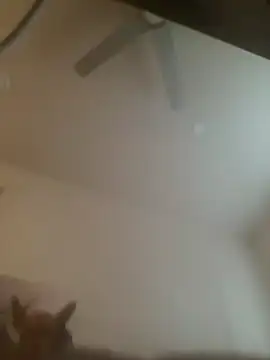 yourMasterisBored webcam