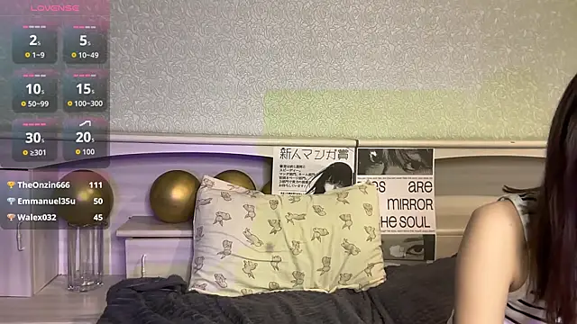 UpdatedRectus webcam