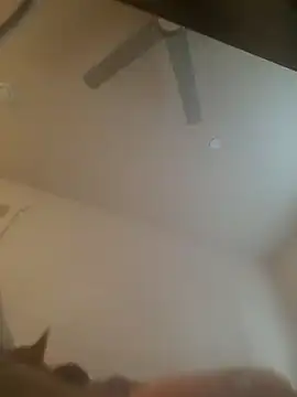 yourMasterisBored webcam