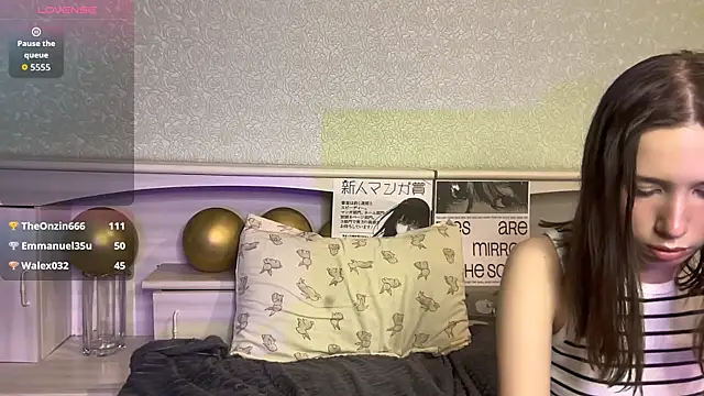 UpdatedRectus webcam