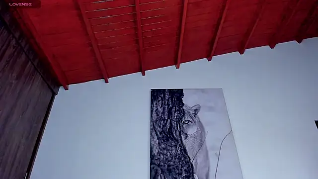 Santos_ramirez1 webcam