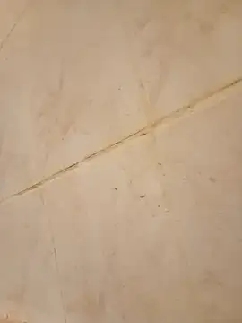 abhijith00054 webcam