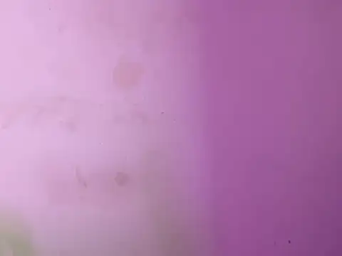 Its_cherry_magic webcam