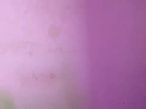 Its_cherry_magic webcam