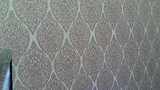 DillionWestgate webcam