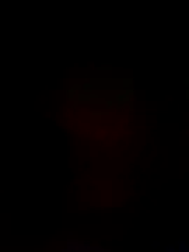 LargeDominoes webcam