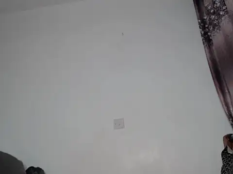 Whimsicalwillow webcam