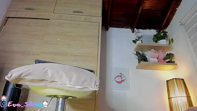 eva-slim- webcam