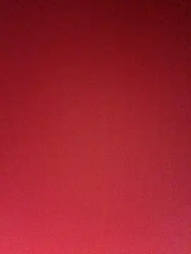 ShawnandDani7074 webcam