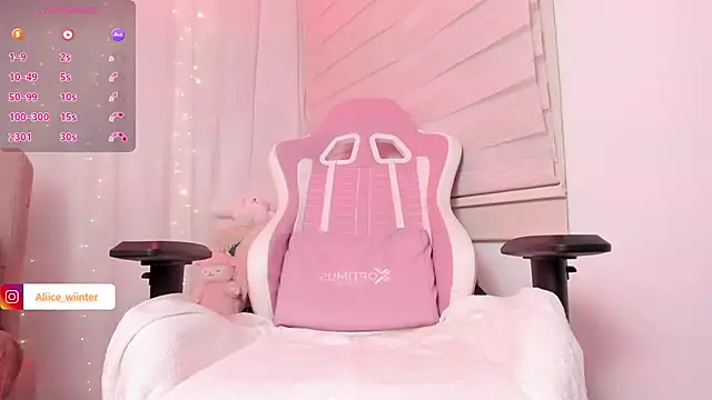 Alice_winter_ webcam