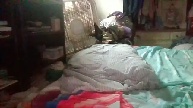 starlight1983 webcam