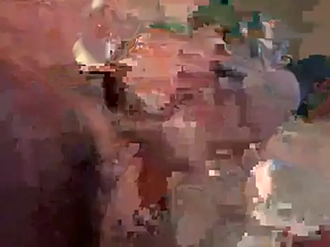 southernflair webcam