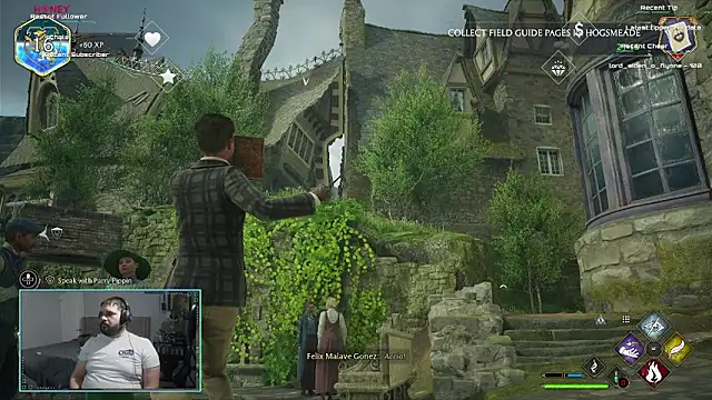 bottombeargaming webcam